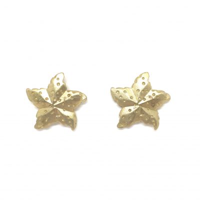 Pendientes Estrella Oro